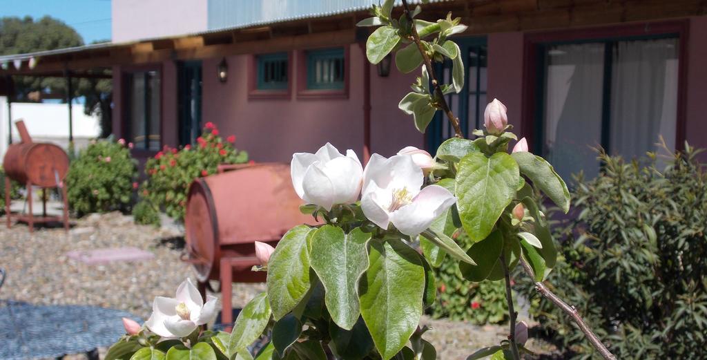 Posada Caracoles Puerto Pirámides Camera foto